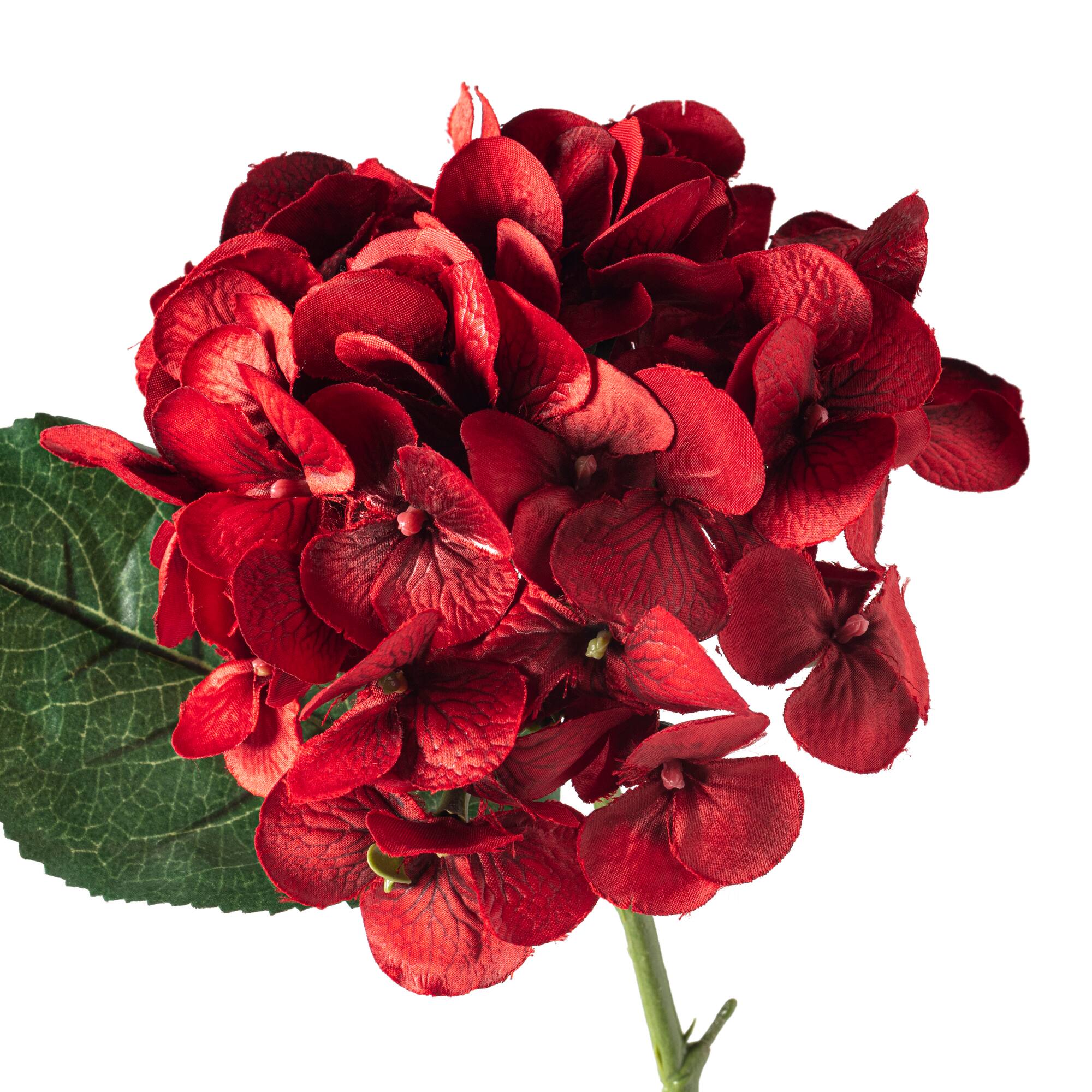 12 Pack: Hydrangea Stem by Ashland
